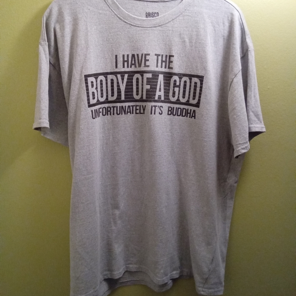 Mens Brisco Brands XL Gray Graphic T-Shirt Buddhafunny Lightweight Summer